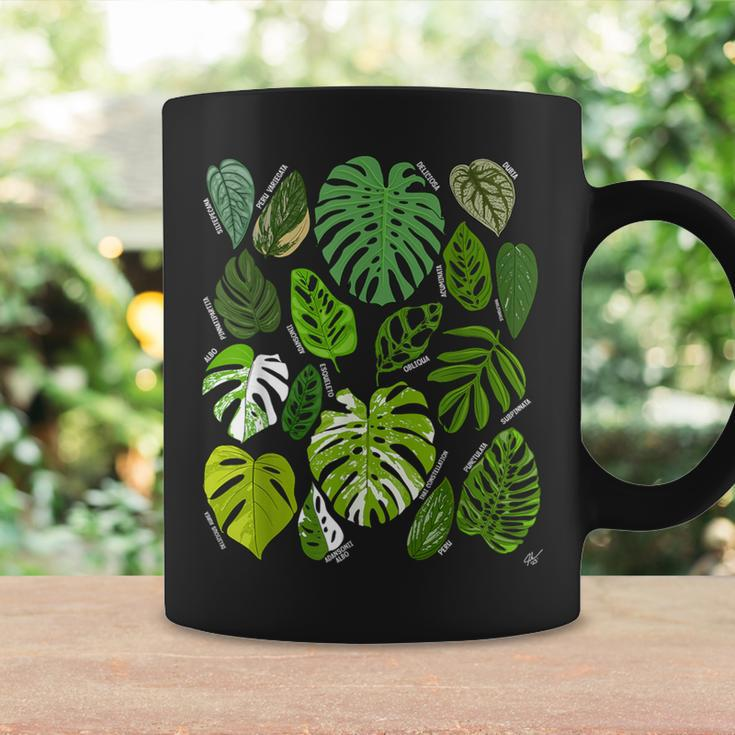 Monstera Varieties Albo Deliciosa Thai Con Plant Lover Coffee Mug Gifts ideas