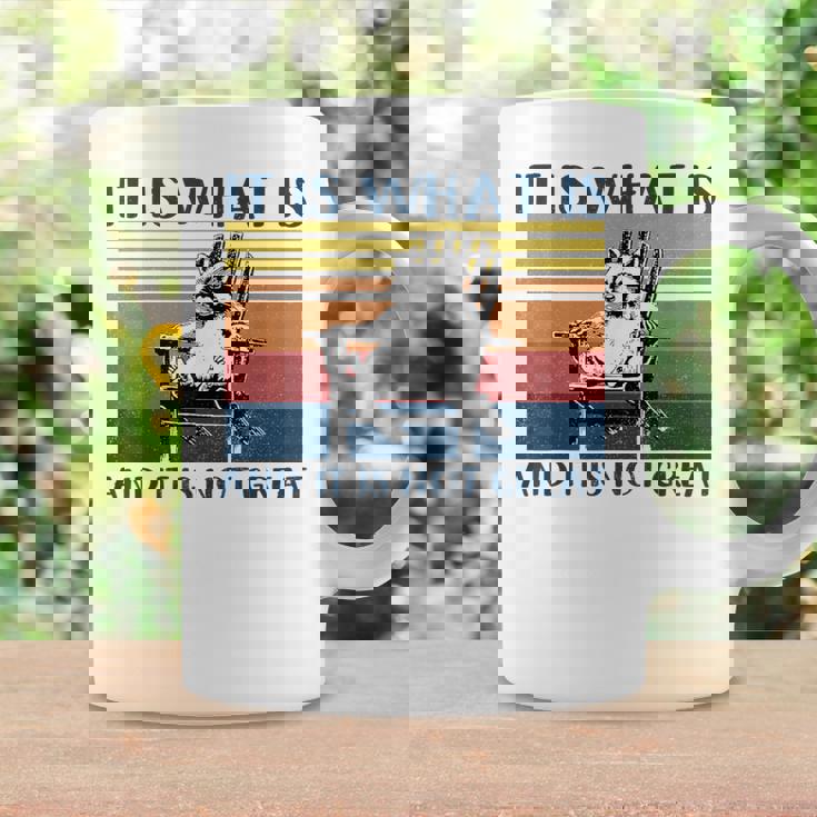 It Is What It Is And It Is Not Great Raccoon Coffee Mug Gifts ideas
