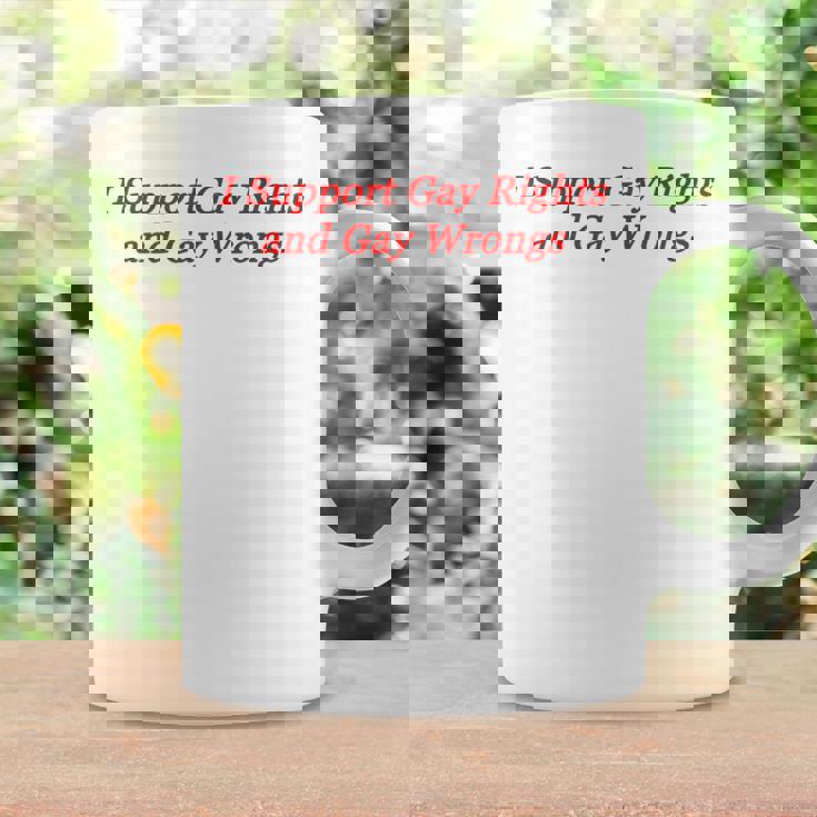 I Support Gay Rights And Gay Wrongs Coffee Mug Gifts ideas