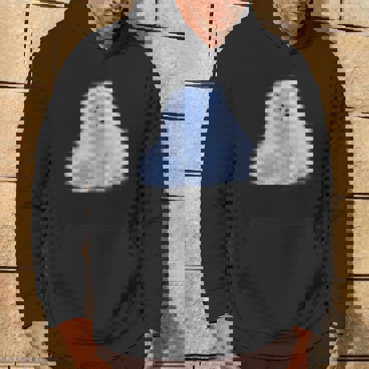 arctic-fox-ice-white-hoodie-