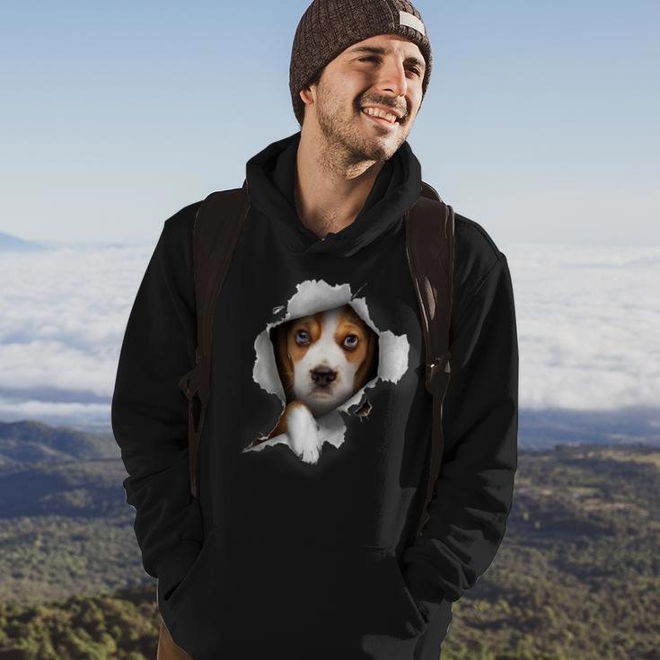 Beagle Lover Dog Lover Beagle Owner Beagle Hoodie Lifestyle