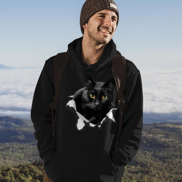 Black Cat Torn Cloth For Cat Lover Cat Dad Cat Mom Hoodie Lifestyle