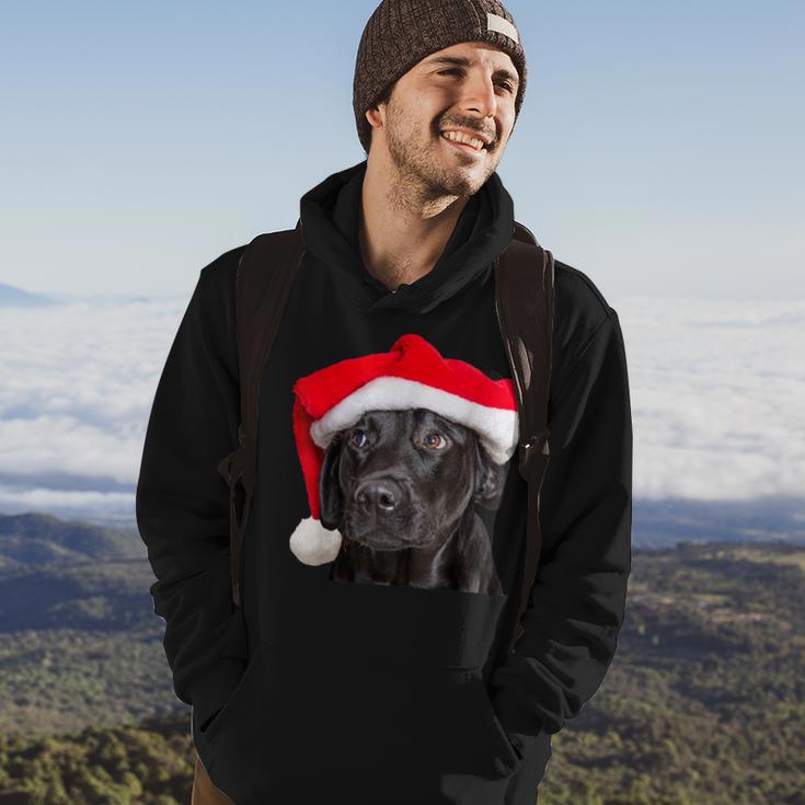 Cute Black Lab Santa Hat Christmas Dog Labrador Retriever Hoodie Lifestyle