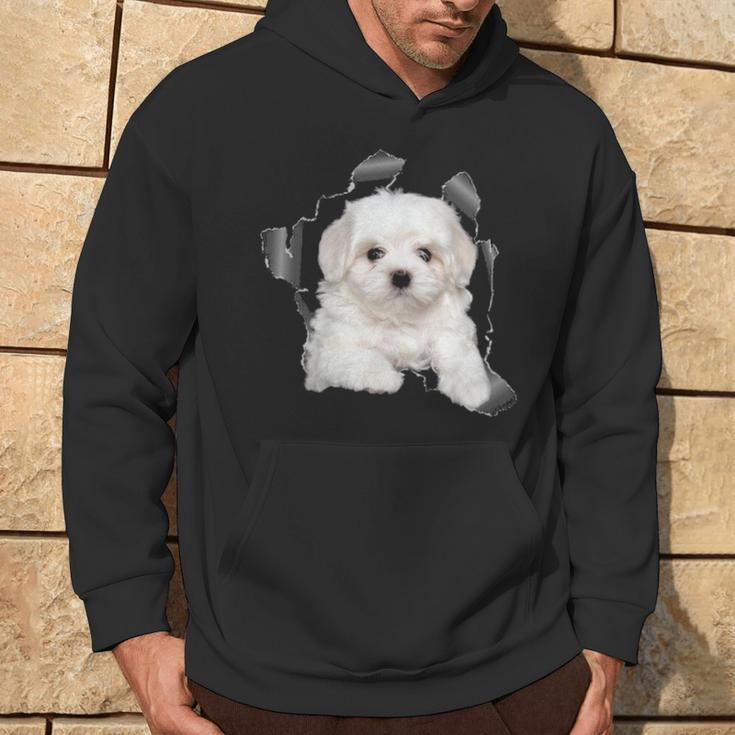 Cute Maltese Torn Cloth Maltese Lover Dog Owner Puppy Hoodie Lifestyle