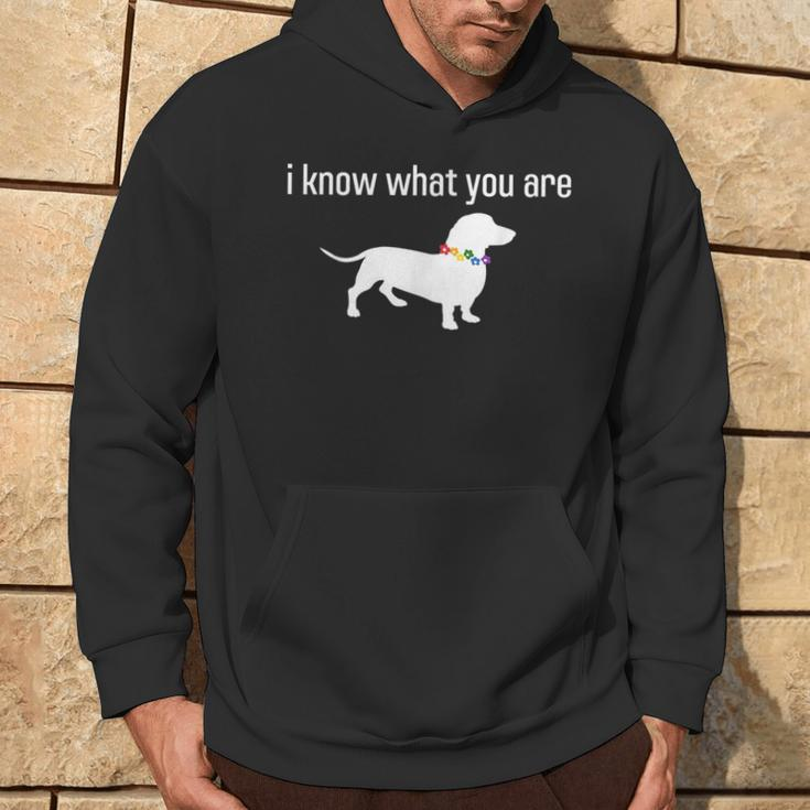 Quote Meme I Know What You Are Homophobic Dog Gay Lgbt Hoodie Lifestyle