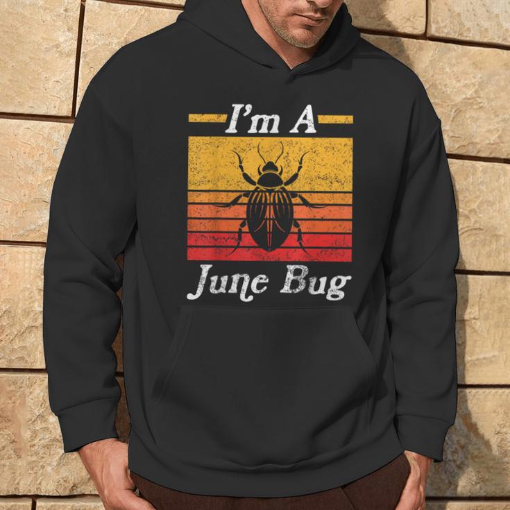 I'm A June Bug Vintage Style Insects Bug Retro Distressed Hoodie Lifestyle