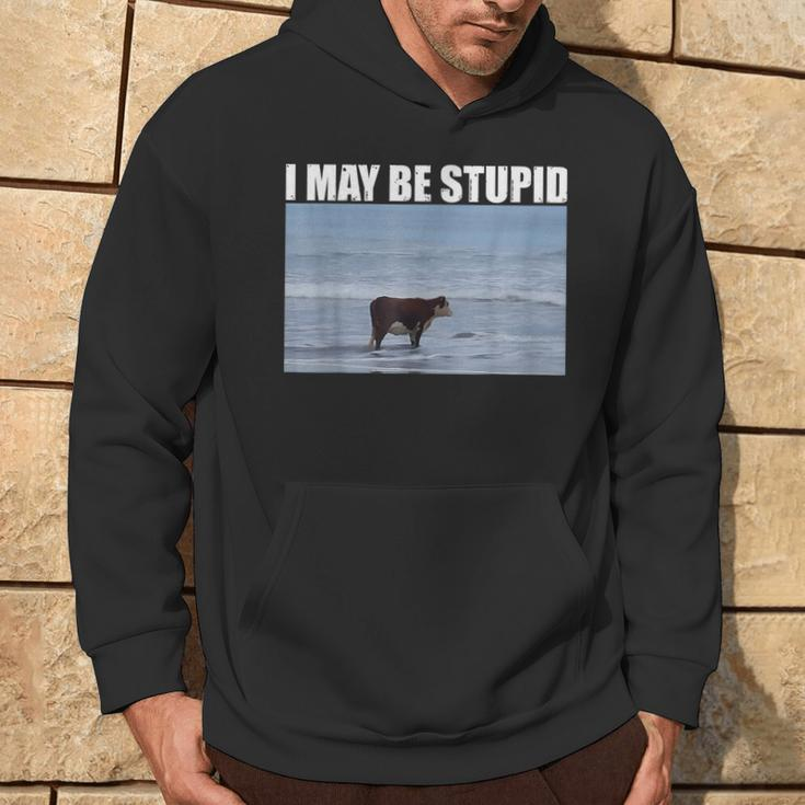 I May Be Stupid Cow Meme I May Be Stupid Hoodie Lifestyle