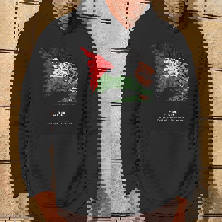 Palestina Con Diseño De Hada Palestina Sudadera Estilo de vida