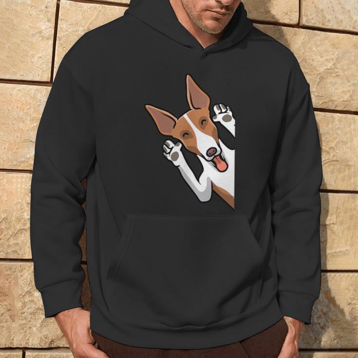 Podenco Ibicenco Dog Hoodie Lebensstil