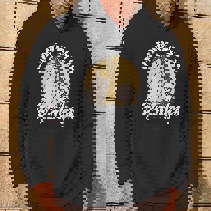 Promoted To Grandpa 2025 Hoodie Lifestyle