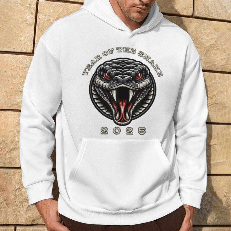 2025 Year Of The Snake Chinese New Year Zodiac Snake Hoodie Lifestyle