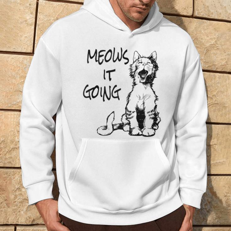 Cat Meows It Going Hoodie Lifestyle