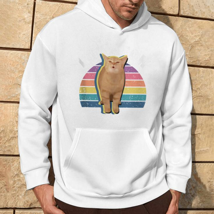 I Go Meow Cat Singing Meme Cat Song I Go Meow Hoodie Lifestyle