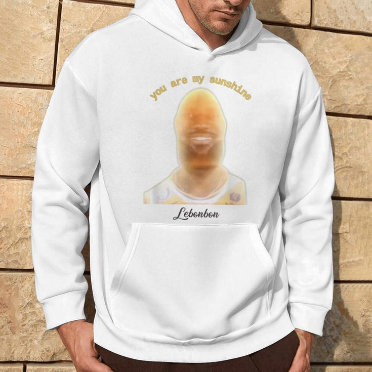 James Meme You Are My Sunshine Joke For And Women Hoodie Lifestyle