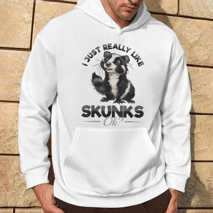 Lustiges Stinktier I Just Really Like Skunks Ok Hoodie Lebensstil