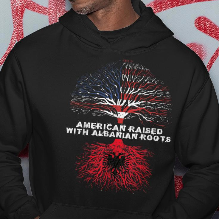American Raised With Albanian Roots Albania Hoodie Unique Gifts