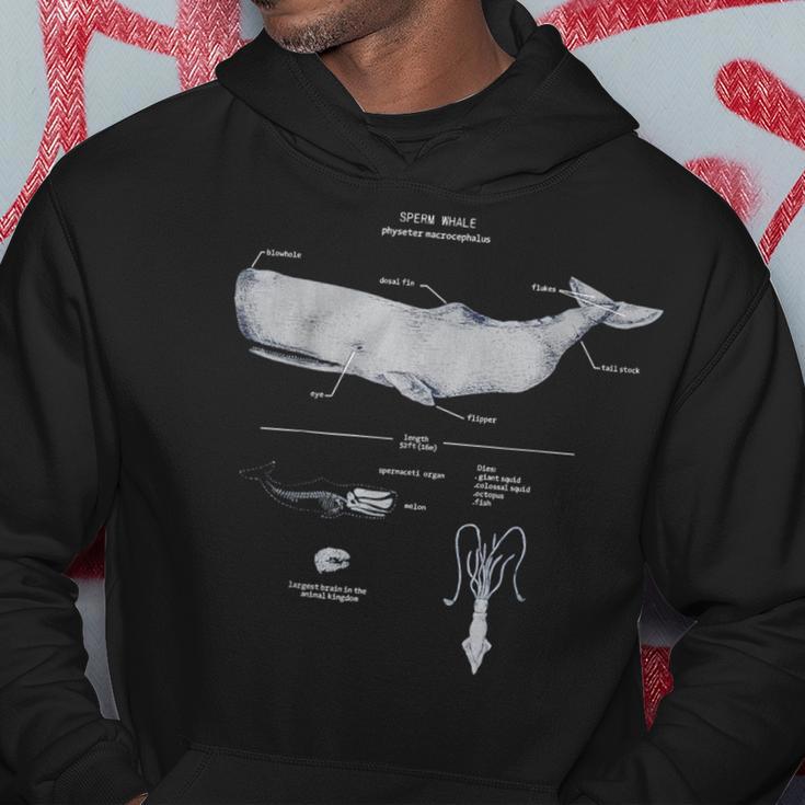 Sweat à Capuche Voile Évolution Rétro Cadeau Pour Marins - Design Humoristique Vintage