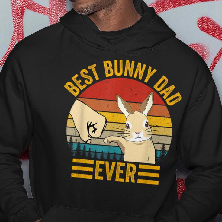 Best Bunny Dad Ever Rabbit Lover Father Pet Rabbit Hoodie Unique Gifts