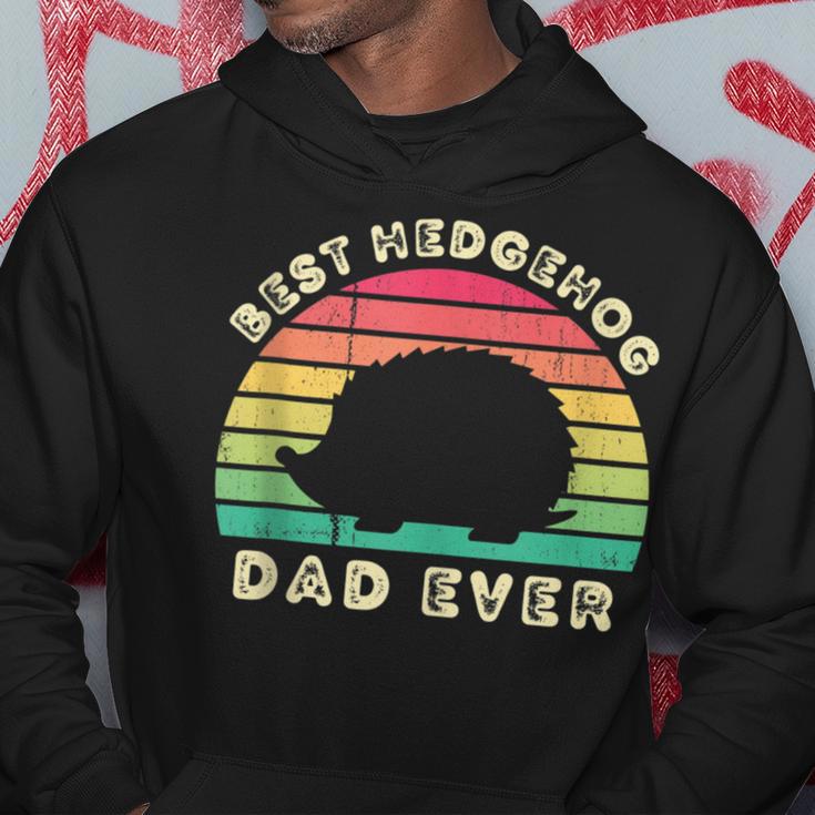 Best Hedgehog Dad Ever For Fathers Day Hoodie Unique Gifts