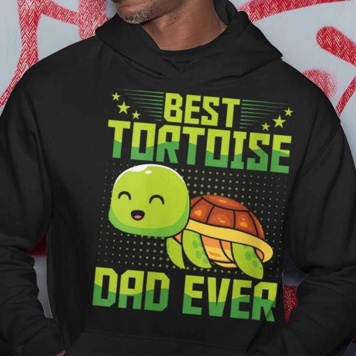 Best Tortoise Dad Ever Vintage Retro Papa Fathers Day Hoodie Funny Gifts