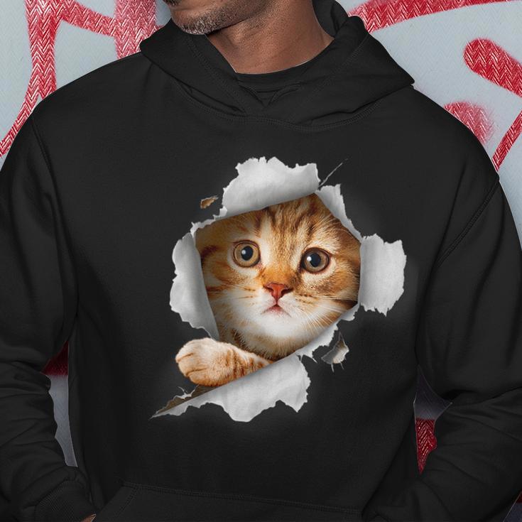 Cat Lover Kitten Lover Cute Cat Cat Owner Cat Hoodie Funny Gifts