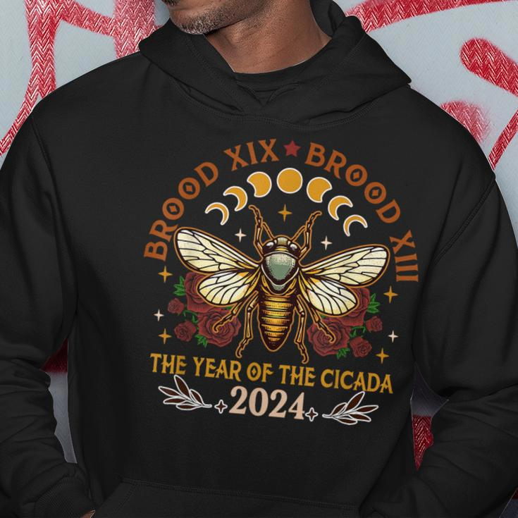 Cicada Lover Brood Xix Brood Xiii Year Of The Cicada 2024 Hoodie Unique Gifts