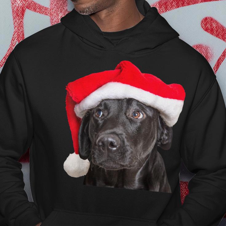 Cute Black Lab Santa Hat Christmas Dog Labrador Retriever Hoodie Unique Gifts