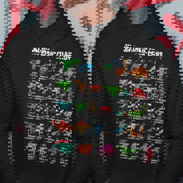 Dinosaur Types Alphabet A-Z Dino Abc T-Rex Dinosaur Black Hoodie Lustige Geschenke