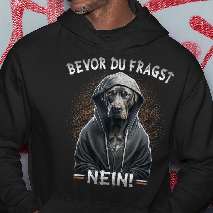 Dog Sarcasm Bevor Du Fragst Nein Kapuzenpullover Lustige Geschenke