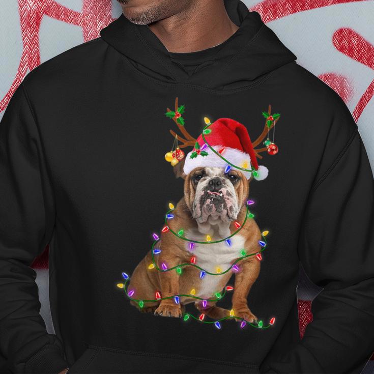 English Bulldog Dog Tree Christmas Lights Xmas Pajama Hoodie Unique Gifts