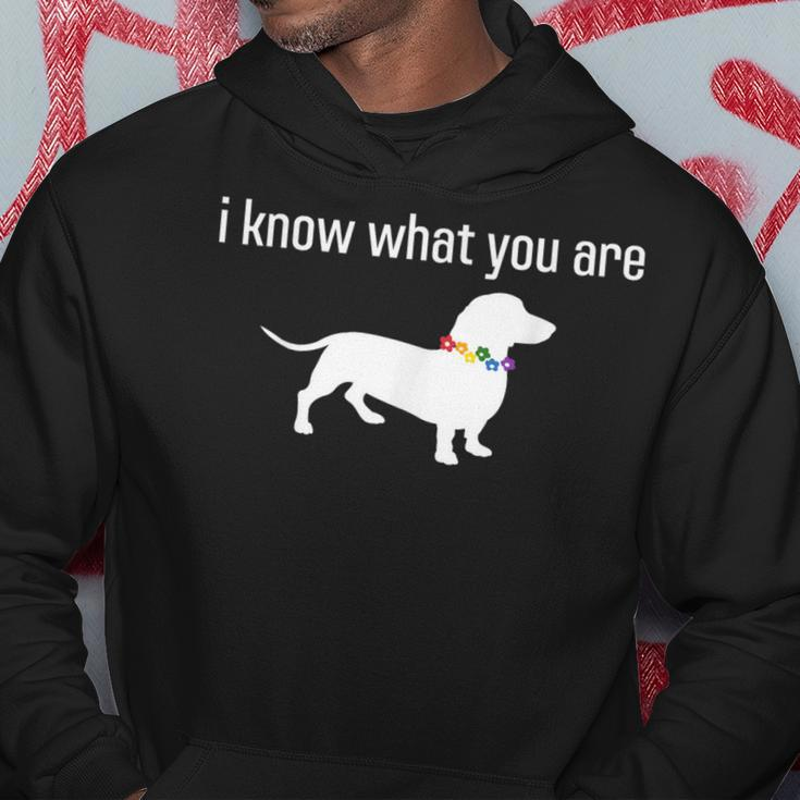 Quote Meme I Know What You Are Homophobic Dog Gay Lgbt Hoodie Unique Gifts