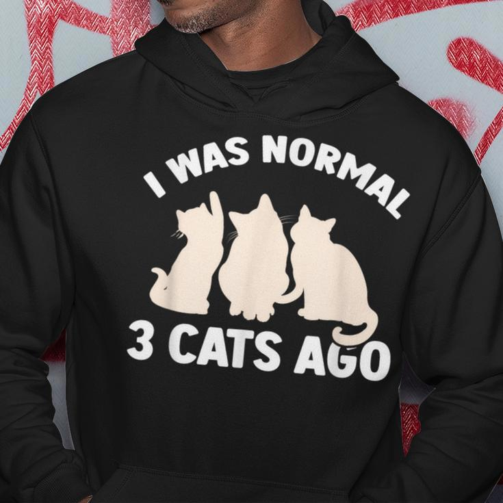 I Was Normal 3 Cats Ago Cat Kitten Kitty Hoodie Personalized Gifts
