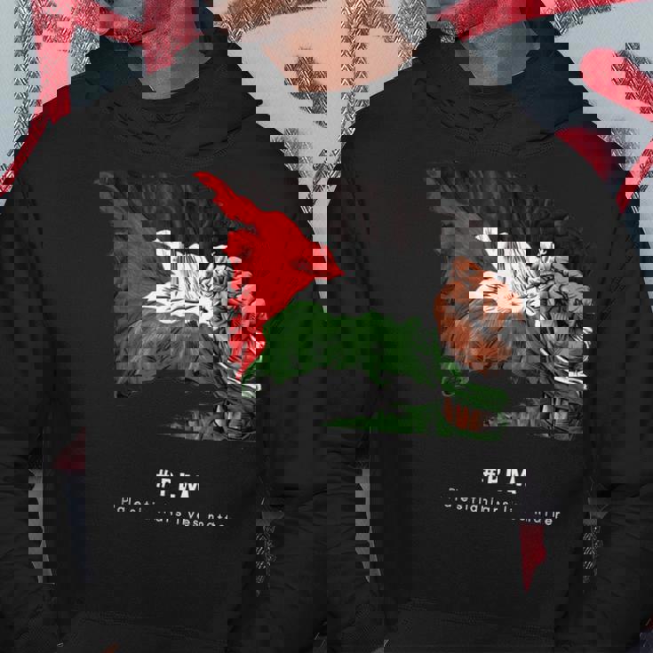 Palestina Con Diseño De Hada Palestina Sudadera Regalos divertidos