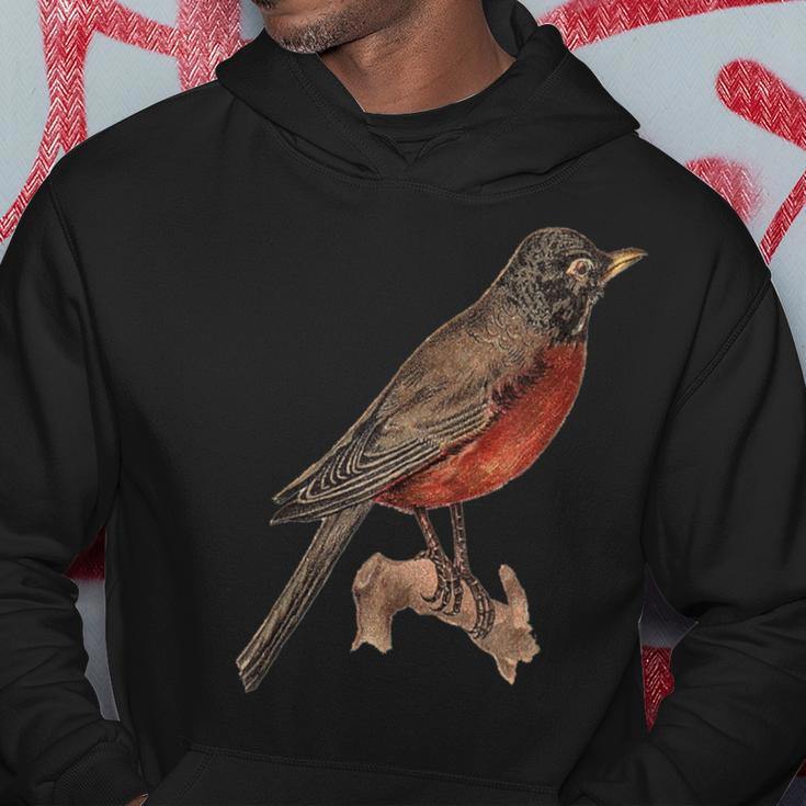 Vintage Robin Hoodie Unique Gifts