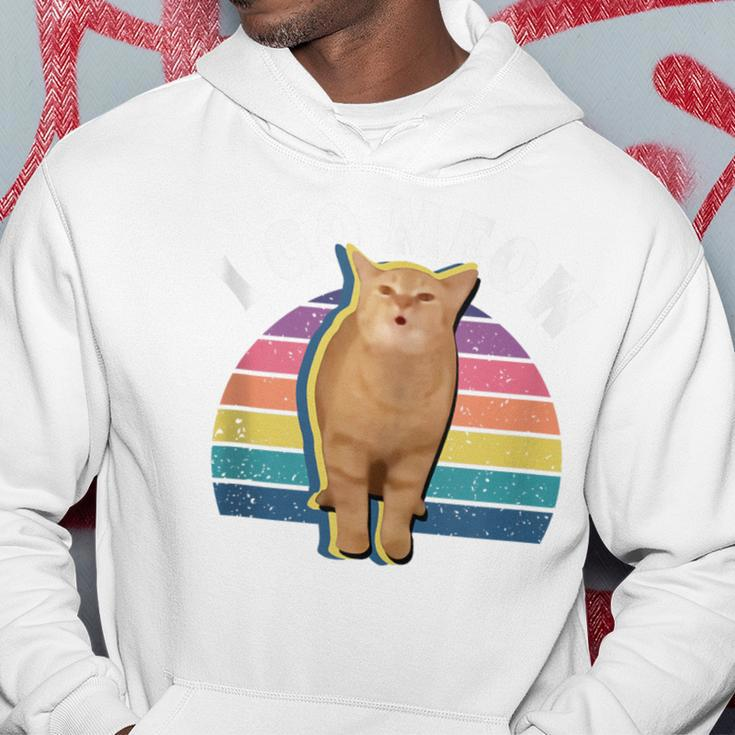 I Go Meow Cat Singing Meme Cat Song I Go Meow Hoodie Unique Gifts