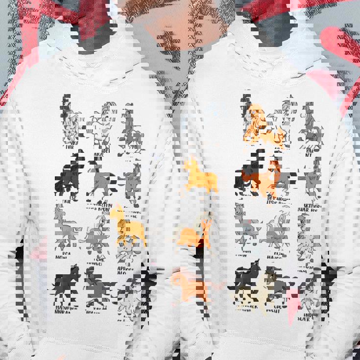 Muchas Razas De Caballos Caballos Kawaii De Dibujos Animados Sudadera Regalos divertidos