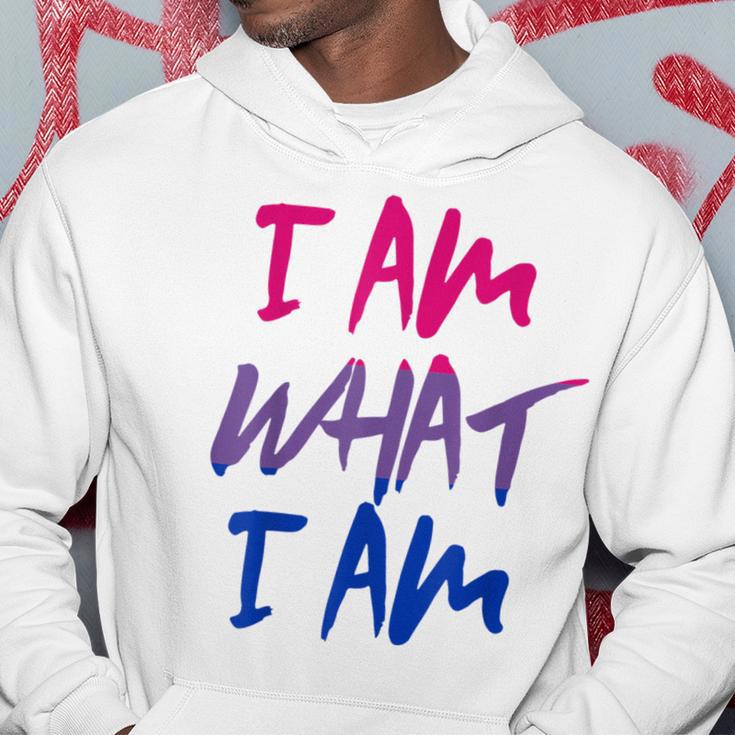 I Am What I Am I Am Flag For Bisexual Hoodie Lustige Geschenke