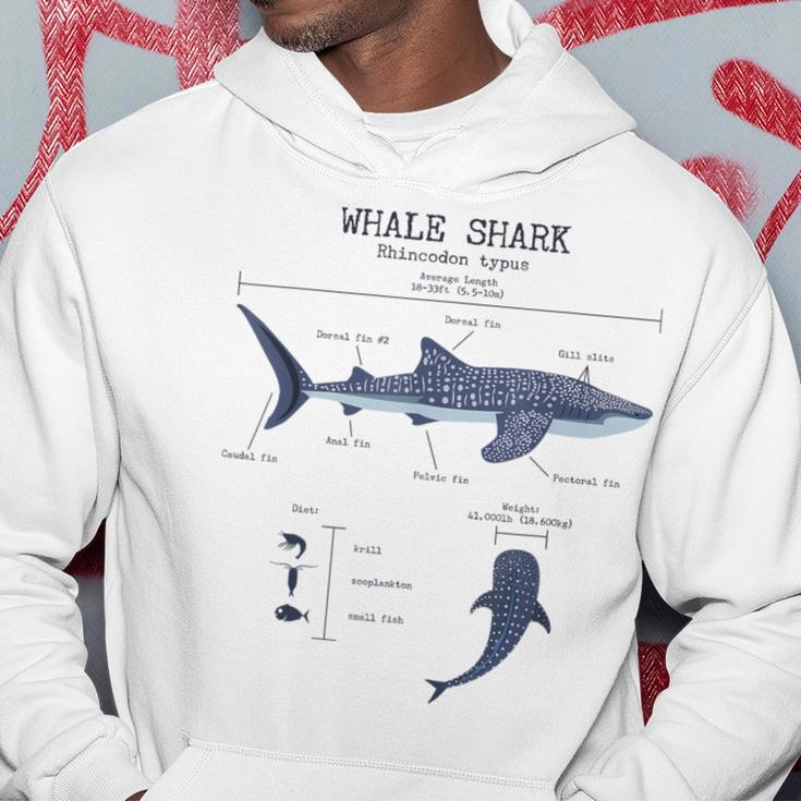 Whale Shark Anatomy Herren Damen Kinder Walhai Kapuzenpullover Lustige Geschenke