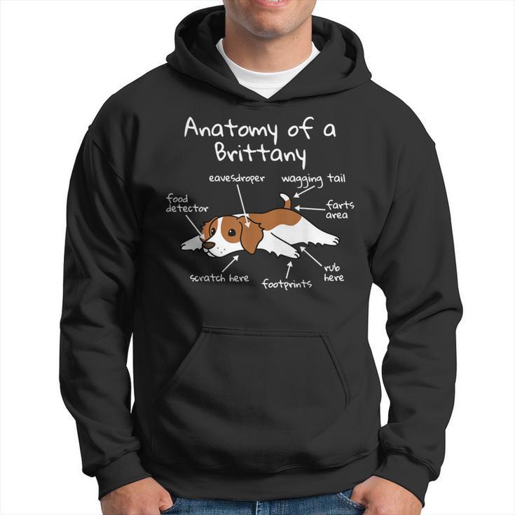 Anatomy Of A Brittany Spaniel Dog Hoodie