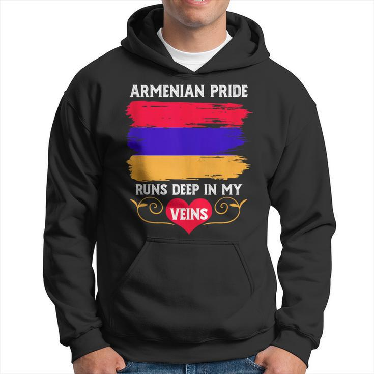 Armenian Pride Runs Deep In My Veins Armenian Roots Hoodie
