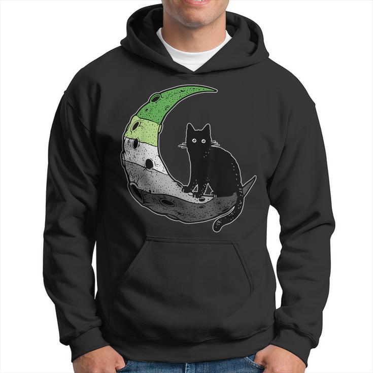 Aromantic Moon Space Cat Aro Pride Flag Lgbt Subtle Asexual Hoodie