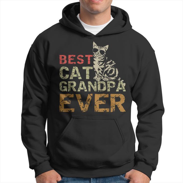 Best Cat Grandpa Ever Cat Kitty Lover Retro Style Hoodie