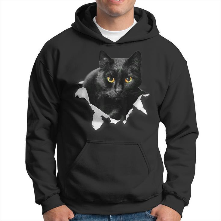 Black Cat Torn Cloth For Cat Lover Cat Dad Cat Mom Hoodie