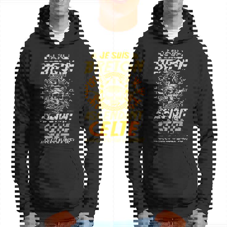 Breton Ascendant Celte France Région Culture Homme Cadeau Sweat à - Main Image