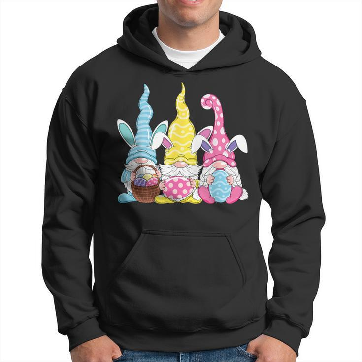 Bunny Rabbit Spring Gnome Easter Holding Egg Happy Easter Hoodie