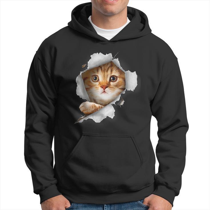 Cat Lover Kitten Lover Cute Cat Cat Owner Cat Hoodie