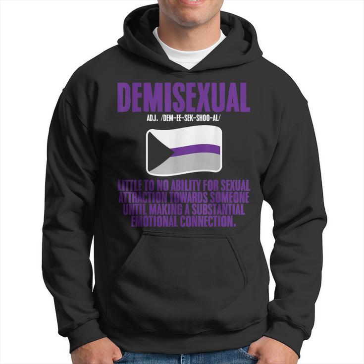 Demisexual Pride Flag Definition Hoodie