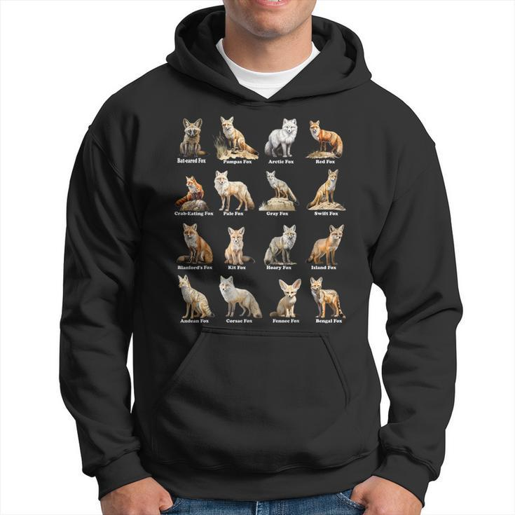 Foxes Of The World Fox Animals Educational Hoodie