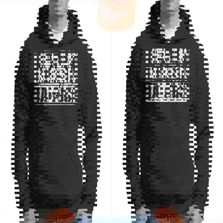 Dad Jokes In Dad-A-Base Vintage For Father's Day Mens Hoodie