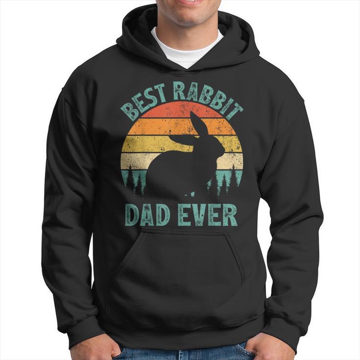 Rabbit Vintage Best Rabbit Dad Ever Father's Day Hoodie